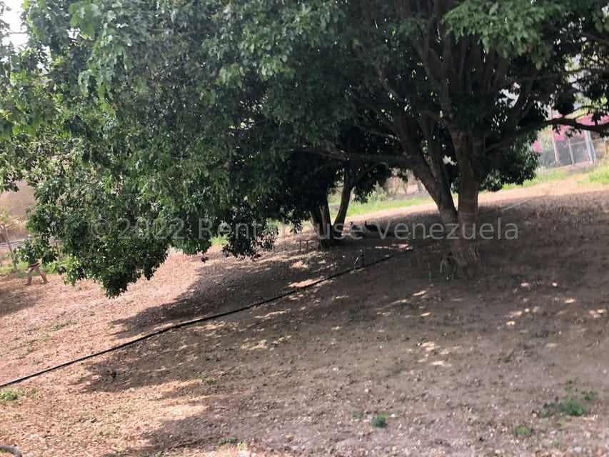 Terreno (Finca) en Venta en El Manzano, Lara - 83
