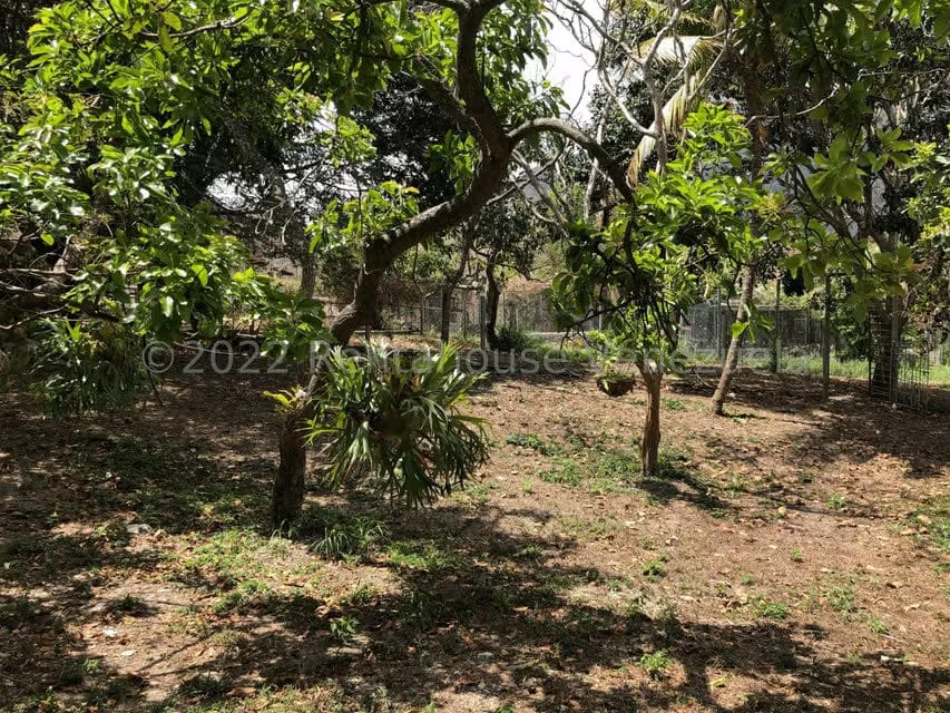 Terreno (Finca) en Venta en El Manzano, Lara - 84