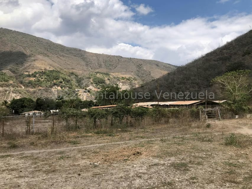 Terreno (Finca) en Venta en El Manzano, Lara - 87