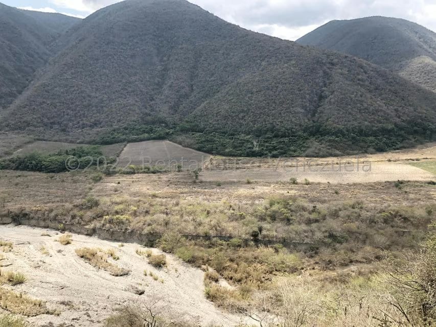 Terreno (Finca) en Venta en El Manzano, Lara - 92