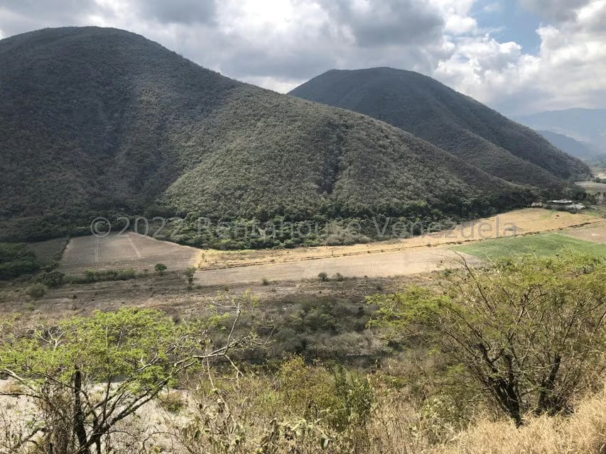 Terreno (Finca) en Venta en El Manzano, Lara - 98