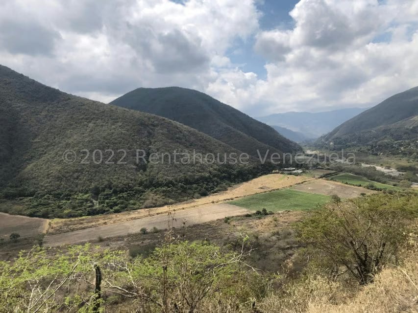 Terreno (Finca) en Venta en El Manzano, Lara - 99