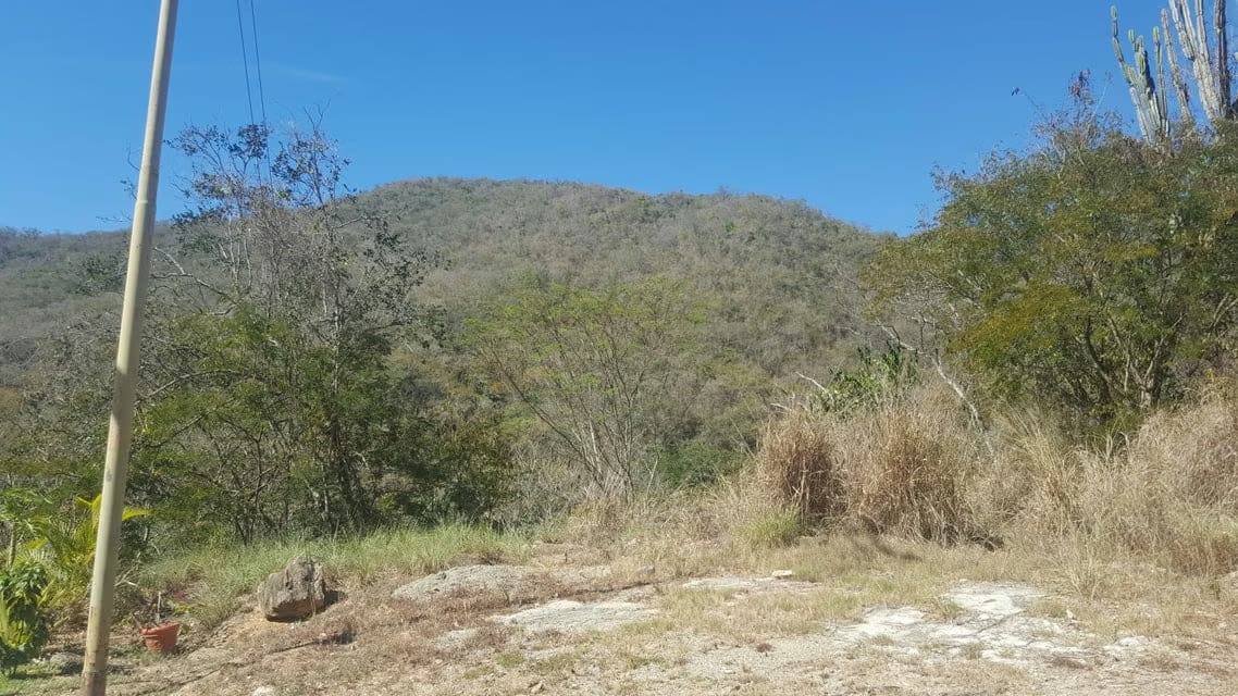Terreno (Residencial) en Venta en Izcaragua, Distrito Metropolitano - 6