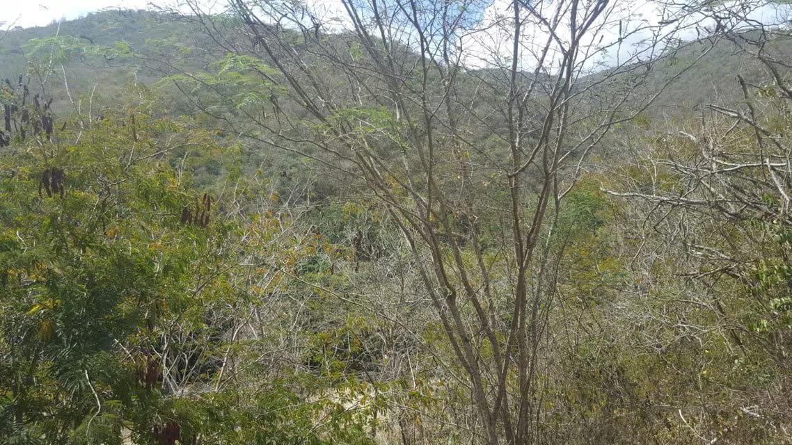 Terreno (Residencial) en Venta en Izcaragua, Distrito Metropolitano - 7