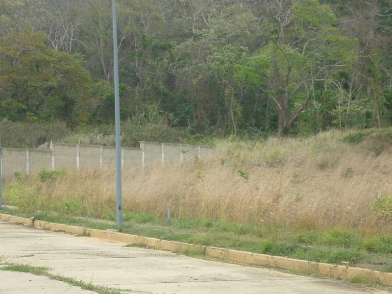 Terreno (Residencial) en Venta en Guataparo, Carabobo - 7