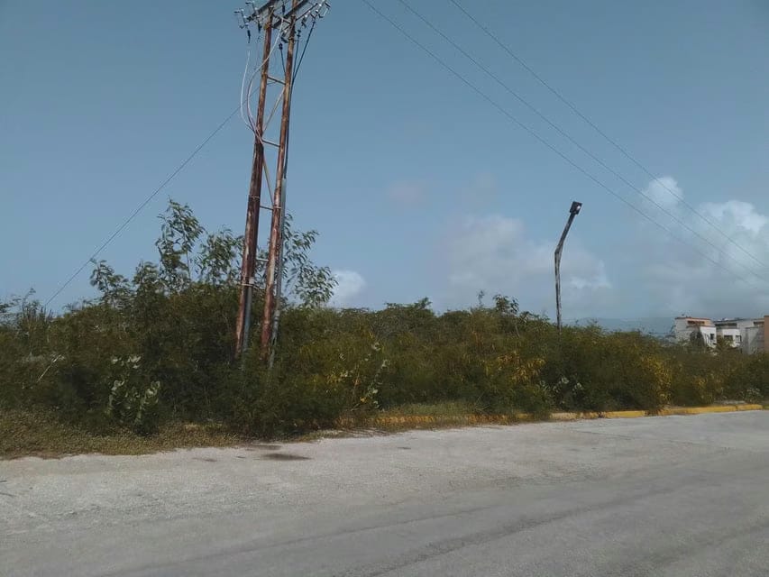 Terreno (Comercial) en Venta en Playa el Angel, Nueva Esparta - 8