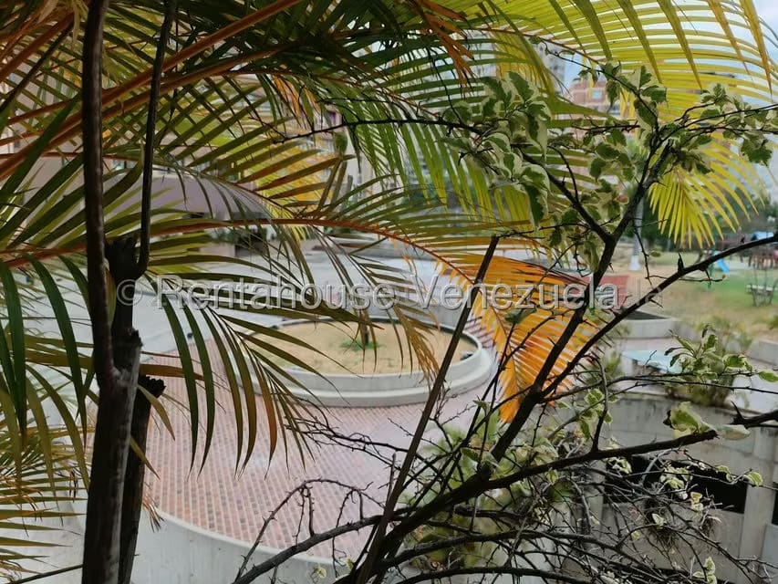 Apartamento (1 Nivel) en Alquiler en Colinas de Quinta Altamira, Distrito Metropolitano - 26