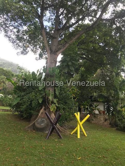 Casa (Colonial) en Venta en Los Chorros, Distrito Metropolitano - 12