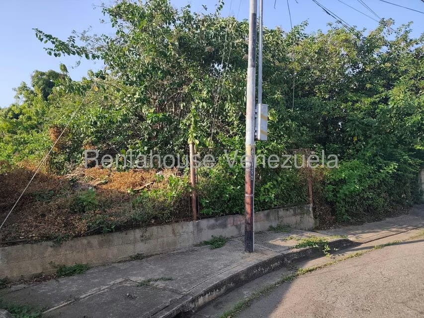 Terreno (Residencial) en Venta en Plaza Alonso, Zulia - 2
