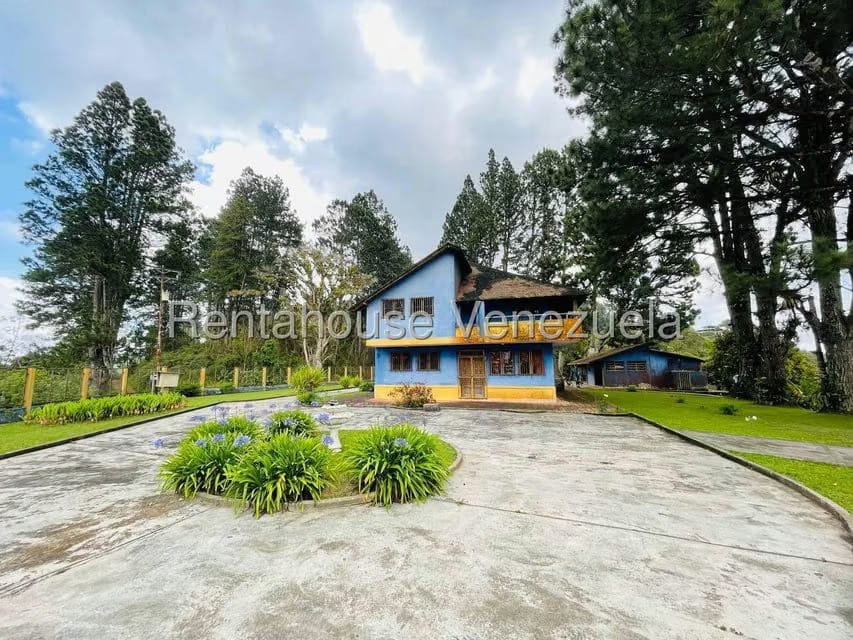 Casa (1 Nivel) en Venta en Valle Alto, Aragua - 12