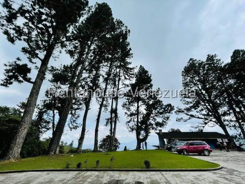 Casa (1 Nivel) en Venta en Valle Alto, Aragua - 3