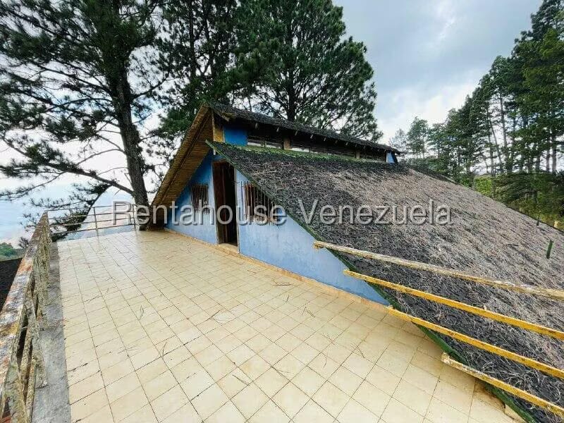 Casa (1 Nivel) en Venta en Valle Alto, Aragua - 40