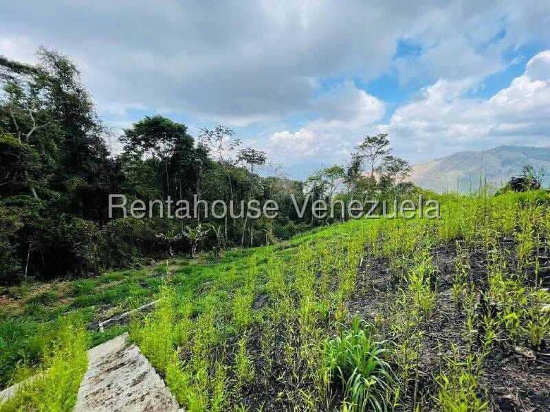 Casa (1 Nivel) en Venta en Valle Alto, Aragua - 49