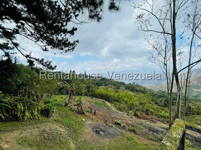 Casa (1 Nivel) en Venta en Valle Alto, Aragua - 50