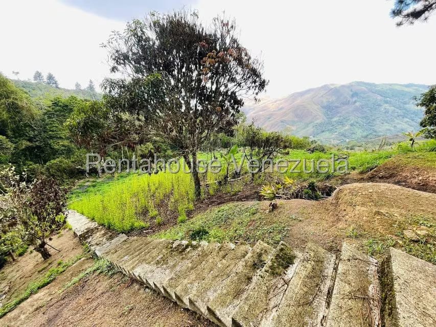 Casa (1 Nivel) en Venta en Valle Alto, Aragua - 52