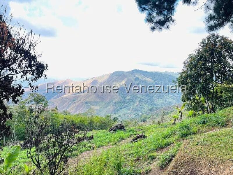 Casa (1 Nivel) en Venta en Valle Alto, Aragua - 54