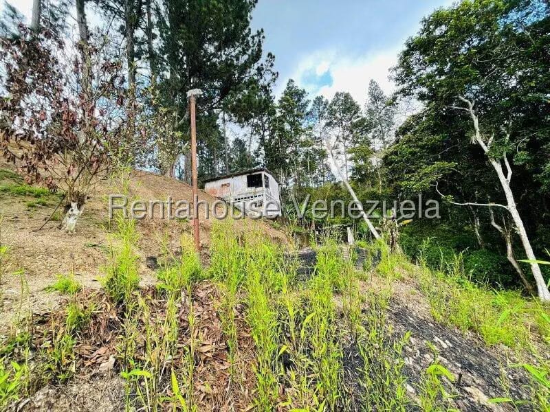 Casa (1 Nivel) en Venta en Valle Alto, Aragua - 56