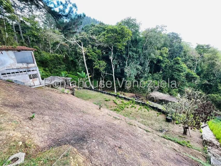 Casa (1 Nivel) en Venta en Valle Alto, Aragua - 57