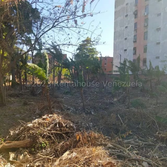 Terreno (Residencial) en Venta en El Guayabal, Carabobo - 2