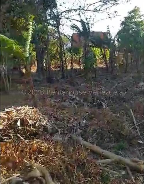 Terreno (Residencial) en Venta en El Guayabal, Carabobo - 11