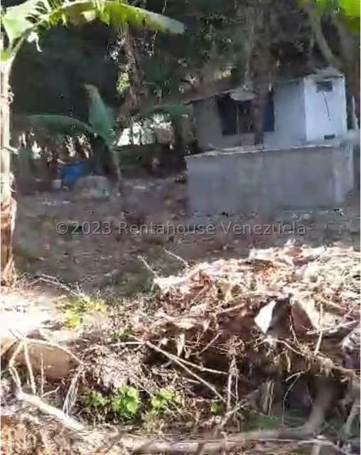 Terreno (Residencial) en Venta en El Guayabal, Carabobo - 12