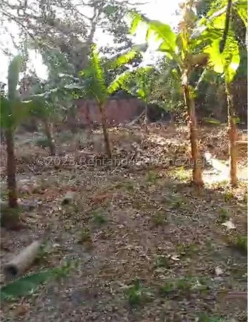 Terreno (Residencial) en Venta en El Guayabal, Carabobo - 3