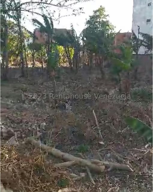 Terreno (Residencial) en Venta en El Guayabal, Carabobo - 4