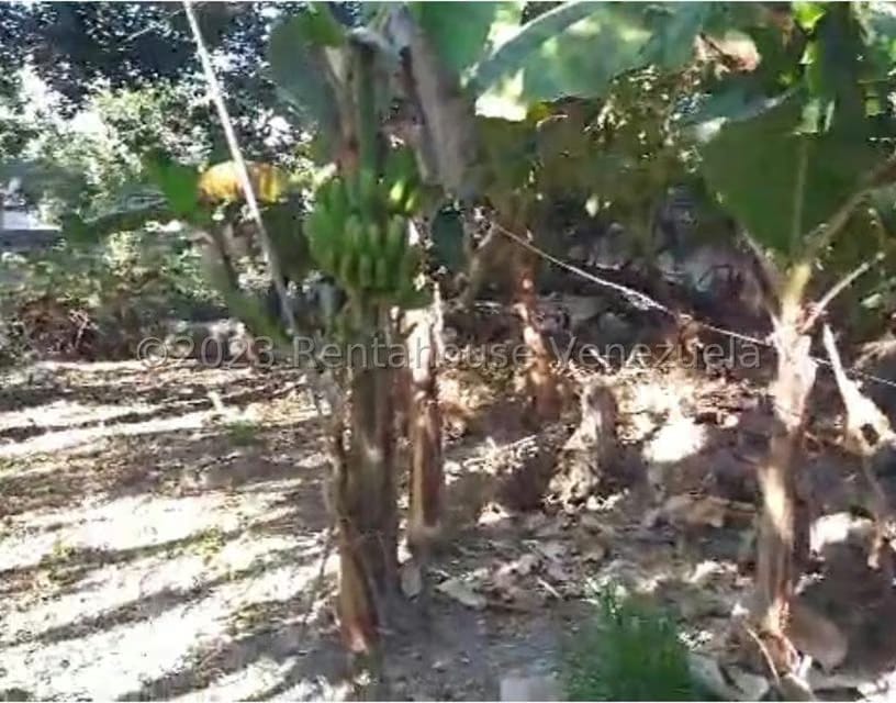 Terreno (Residencial) en Venta en El Guayabal, Carabobo - 5