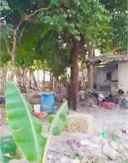 Terreno (Residencial) en Venta en El Guayabal, Carabobo - 9