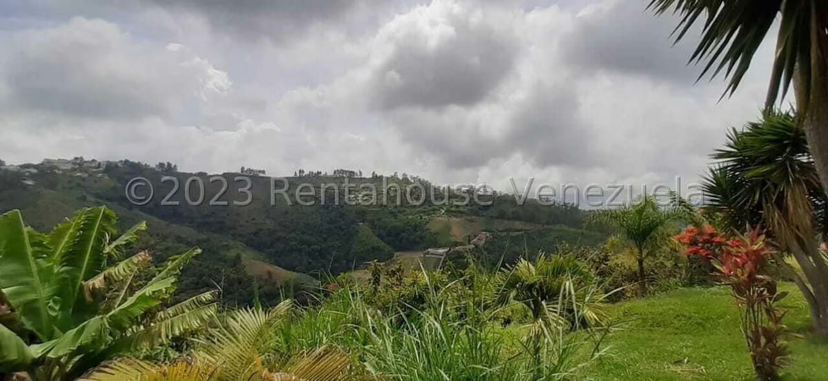 Casa (Multipes Niveles) en Venta en Club de Campo, Miranda - 30