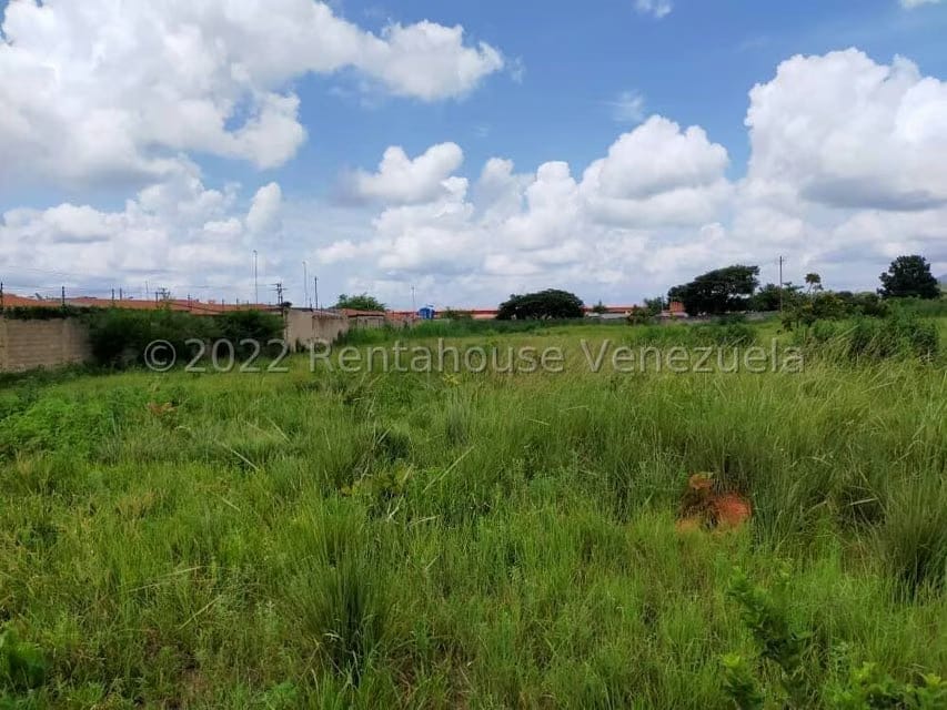 Terreno (Industrial) en Venta en Tinaquillo, Cojedes - 25