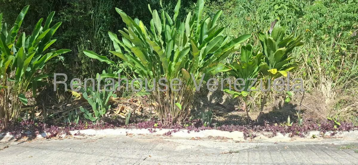 Terreno (Residencial) en Venta en El Hatillo, Distrito Metropolitano - 5