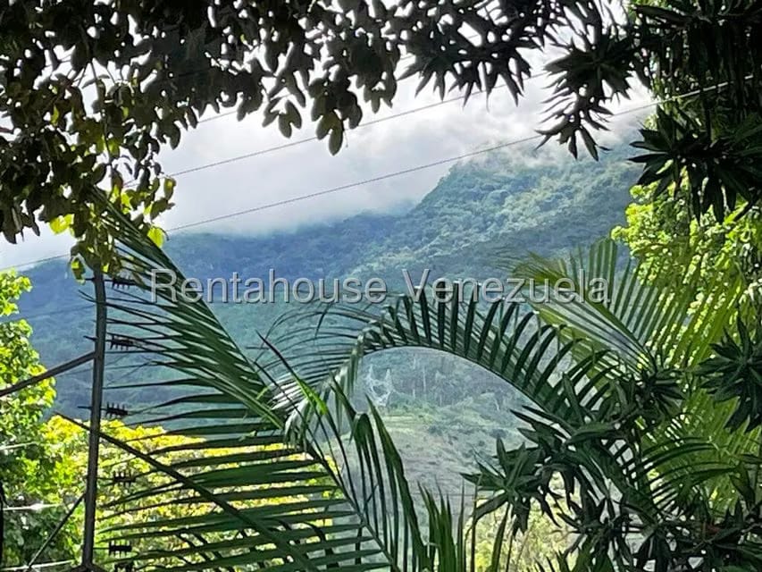 Casa (Duplex) en Venta en Los Chorros, Distrito Metropolitano - 97