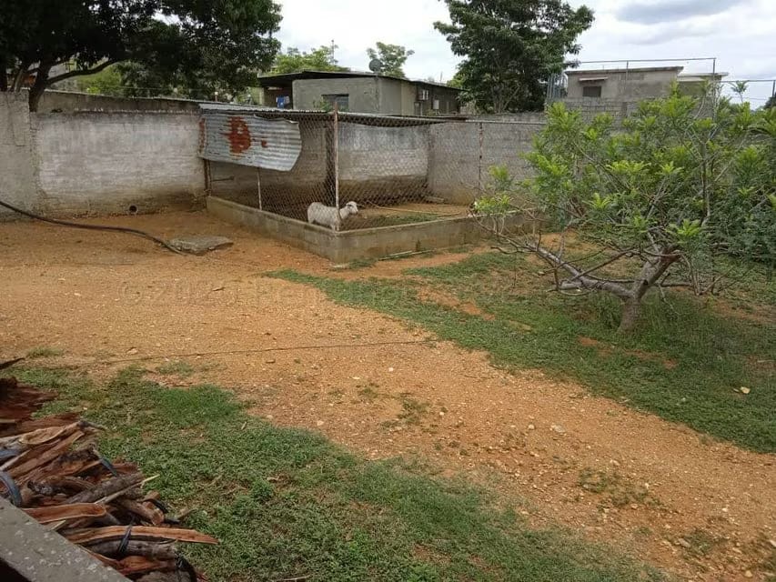 Casa (1 Nivel) en Venta en Tarabana, Lara - 40