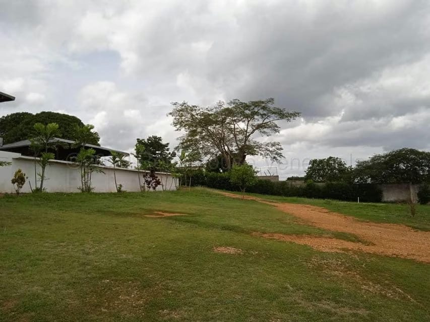 Casa (1 Nivel) en Venta en Tarabana, Lara - 45