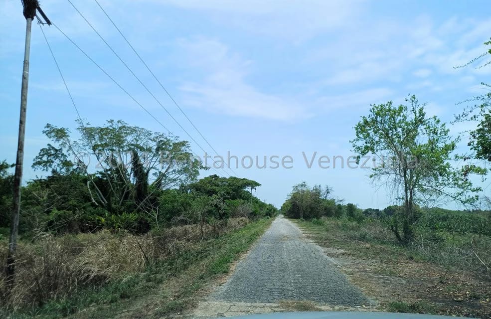 Terreno (Comercial) en Venta en Belencito, Miranda - 2