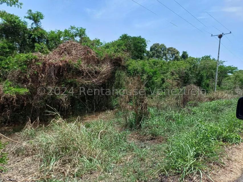 Terreno (Comercial) en Venta en Belencito, Miranda - 5
