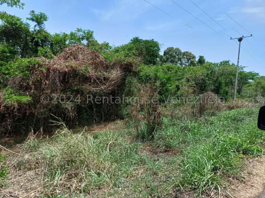 Terreno (Comercial) en Venta en Belencito, Miranda - 7