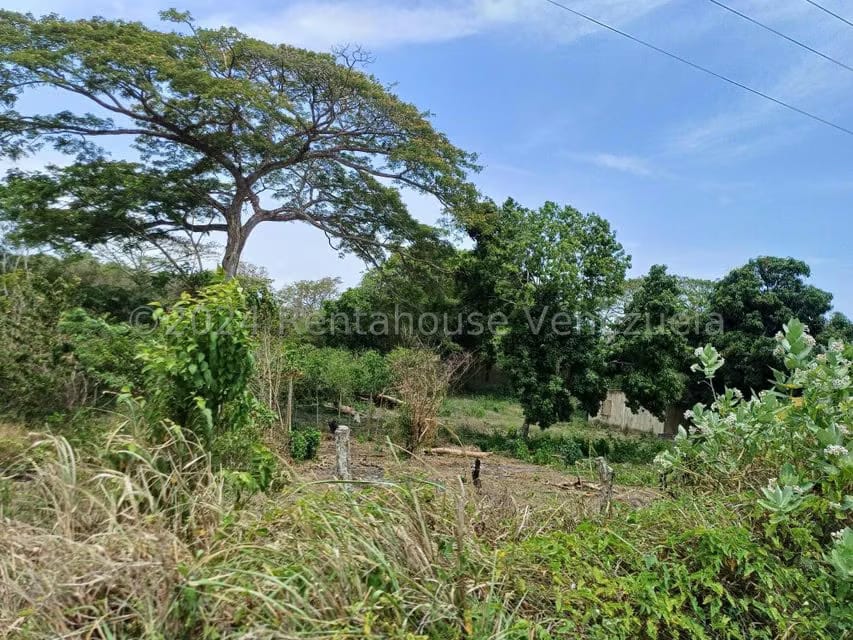 Terreno (Comercial) en Venta en Belencito, Miranda - 8