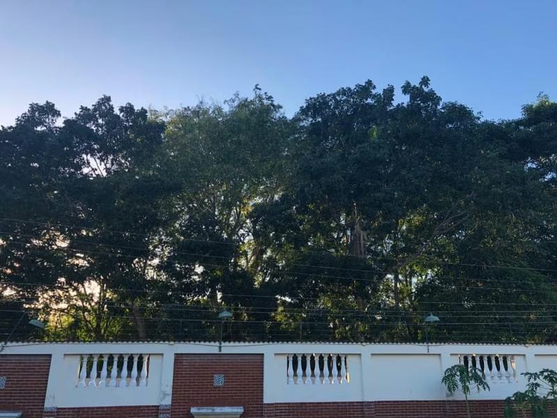Casa (Contemporaneo) en Venta en El Mangle, Sucre - 14