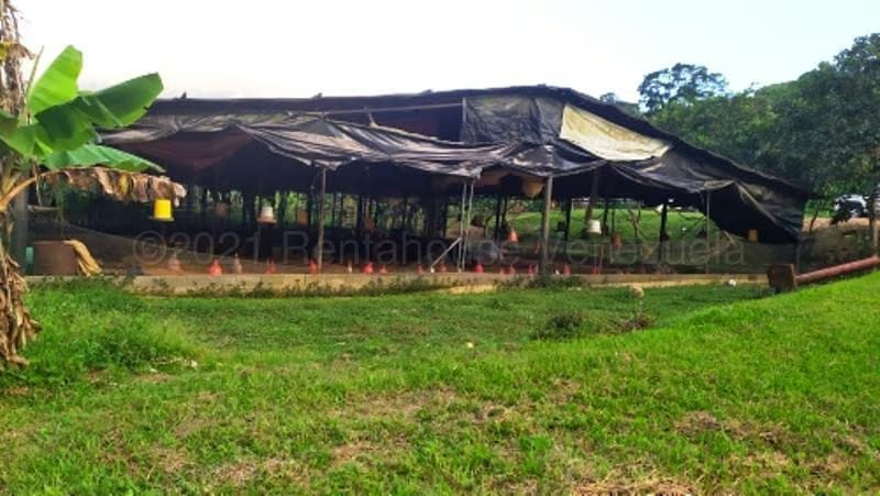 Terreno (Finca) en Venta en Canoabo, Carabobo - 14