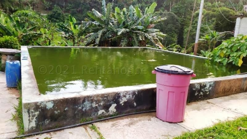 Terreno (Finca) en Venta en Canoabo, Carabobo - 16