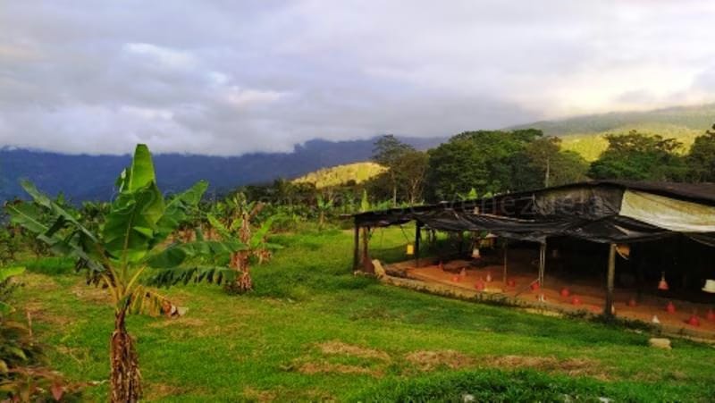 Terreno (Finca) en Venta en Canoabo, Carabobo - 23
