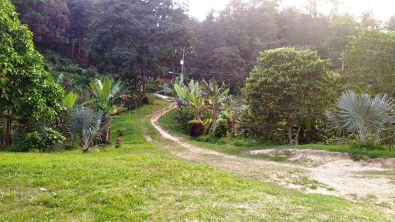 Terreno (Finca) en Venta en Canoabo, Carabobo - 26