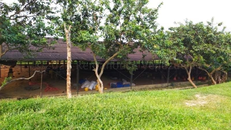 Terreno (Finca) en Venta en Canoabo, Carabobo - 27
