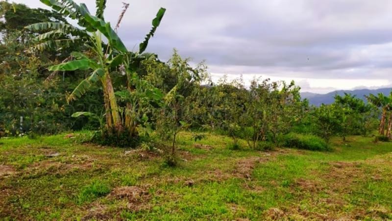 Terreno (Finca) en Venta en Canoabo, Carabobo - 28
