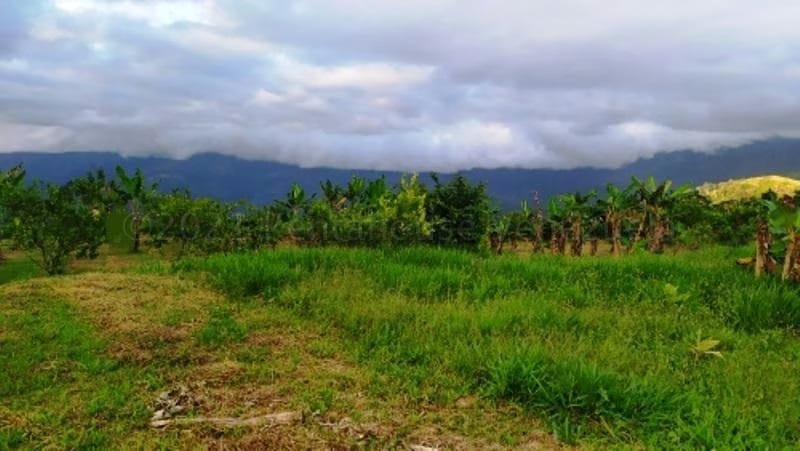 Terreno (Finca) en Venta en Canoabo, Carabobo - 29