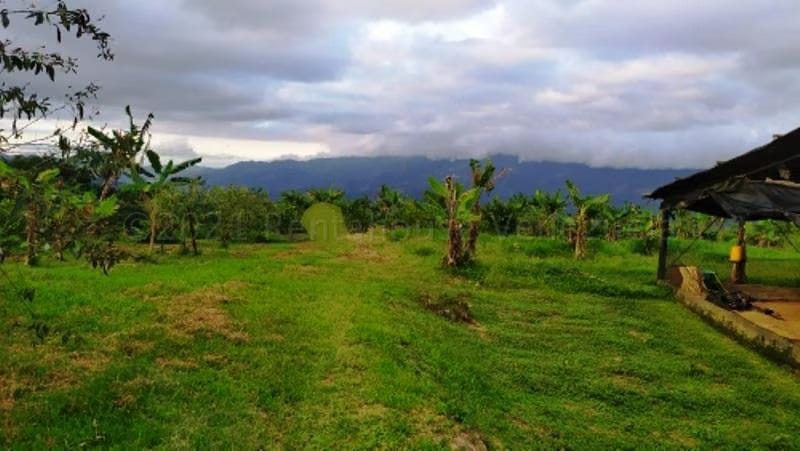 Terreno (Finca) en Venta en Canoabo, Carabobo - 31