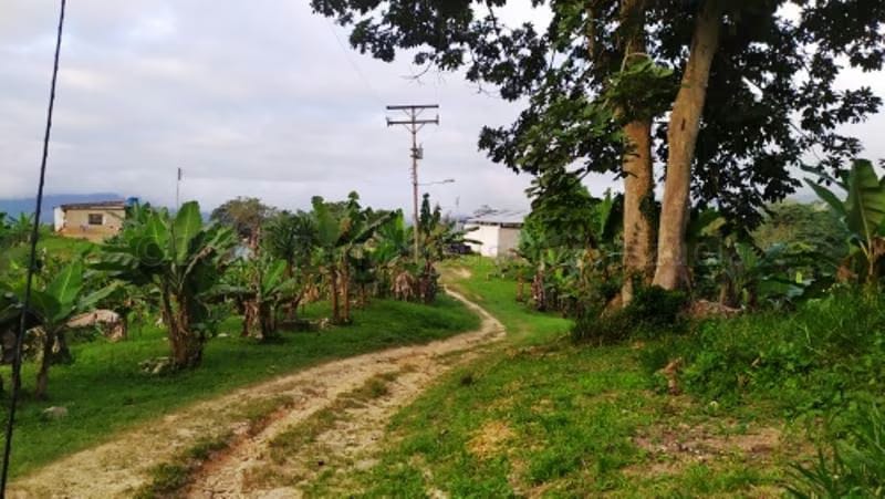 Terreno (Finca) en Venta en Canoabo, Carabobo - 32