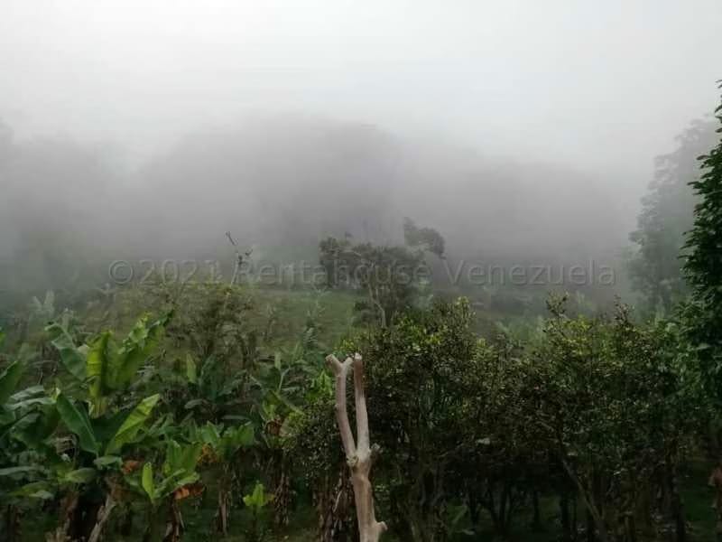 Terreno (Finca) en Venta en Canoabo, Carabobo - 34